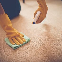 Close-up image of woman removing stain from the carpet