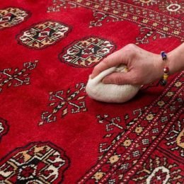 Urin- Damage-Removal